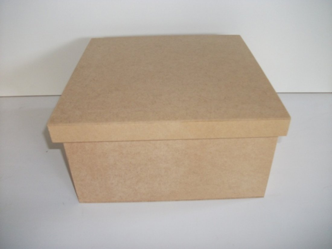Caixa 290x290x120mm c/ div.