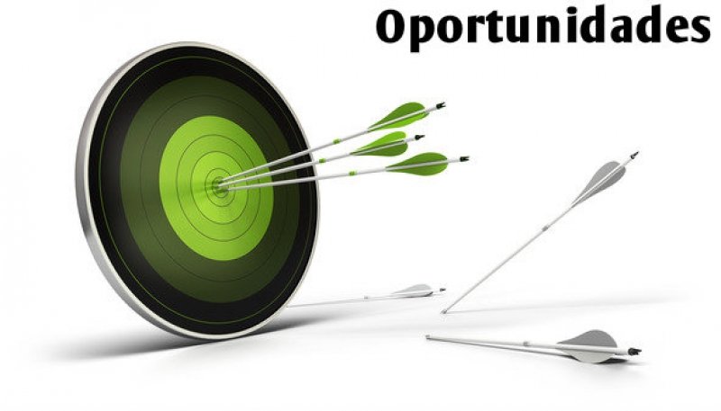 "Quem não aproveita a oportunidade que tem não merece a oportunidade que quer"
